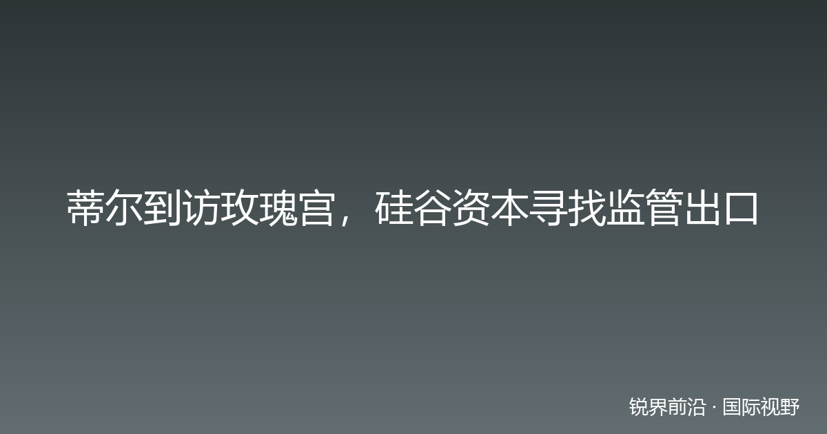 蒂尔到访玫瑰宫，硅谷资本寻找监管出口