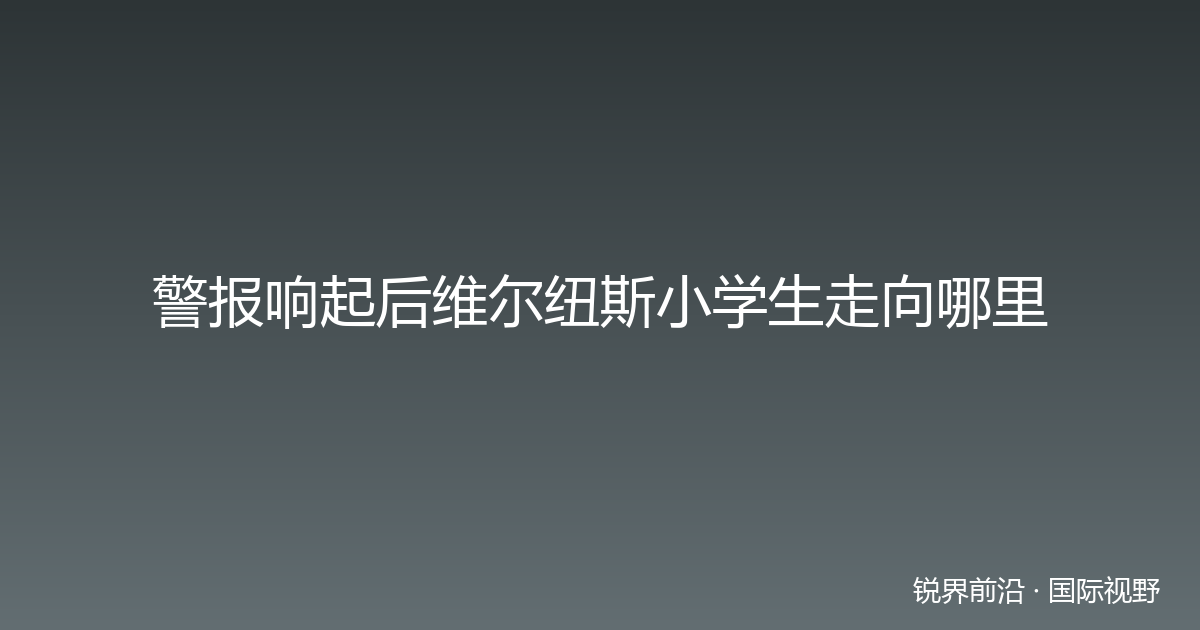 警报响起后维尔纽斯小学生走向哪里